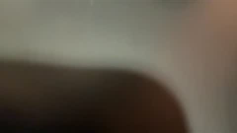 dm9313 online show from November 27, 2025, 11:01 am