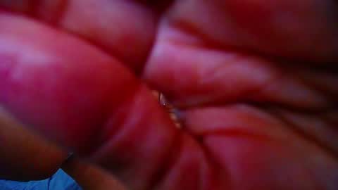  KRISTAL  online show from March 7, 2025, 6:24 am