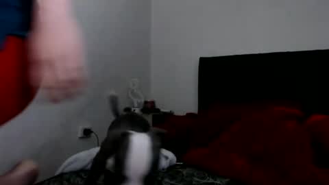 Snapshot of doll_sary chatting on February 8, 2025, 9:03 am Catherine XXX online show from February 8, 2025, 9:03 am