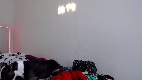 Snapshot of doll_sary chatting on March 9, 2026, 4:00 pm Catherine XXX online show from March 9, 2026, 4:00 pm