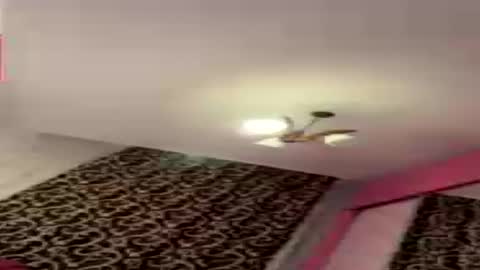 dollpetal online show from July 21, 2026, 6:43 pm