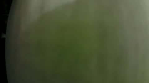 Snapshot of dom_doug chatting on January 31, 2025, 1:33 am Dom Doug B. online show from January 31, 2025, 1:33 am