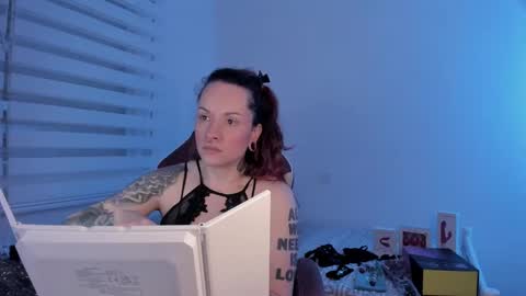Snapshot of domina_deivis chatting on February 19, 2025, 6:11 am I WILL BE BACK ON WEDNESDAY DECEMBER 4 0100AM COLOMBIA TIME    online show from February 19, 2025, 6:11 am