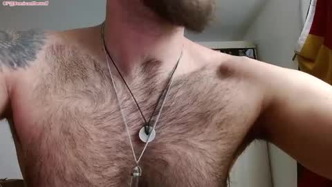 Logan - INDEPENDET MODEL online show from April 23, 2026, 12:29 pm