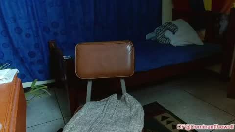 Logan - INDEPENDET MODEL online show from May 11, 2026, 5:46 am