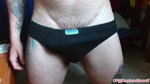 Logan - INDEPENDET MODEL online show from May 27, 2026, 5:04 am