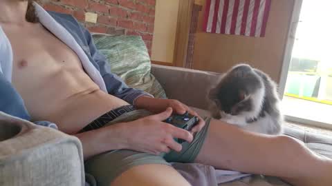 dommepleasemistress online show from February 21, 2026, 7:26 pm