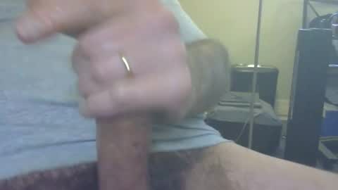 don_quixote3 online show from April 4, 2026, 4:48 pm