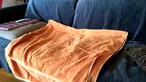 Alfredo online show from February 7, 2025, 8:55 am