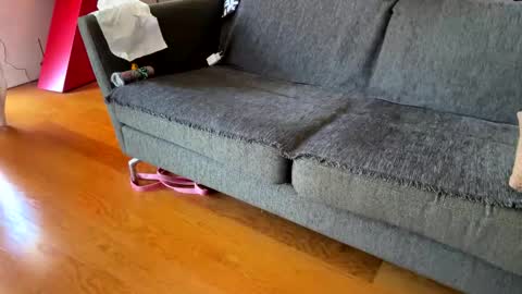 Alfredo online show from September 24, 2025, 8:39 am