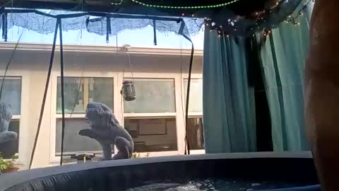 doobie1717 online show from September 28, 2025, 12:43 pm