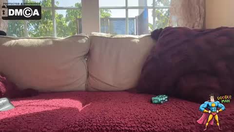 doodleman2077 online show from October 7, 2025, 9:56 pm