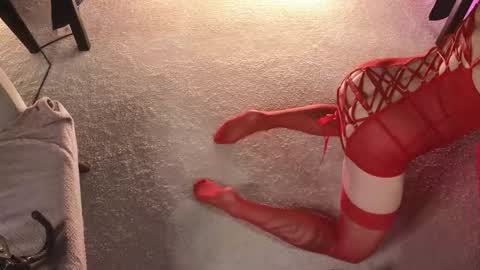 Dorothy Next stream on Monday at 3am-9am online show from November 20, 2025, 4:01 am