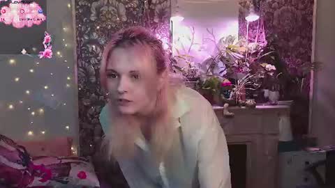 DiBi online show from July 7, 2026, 2:14 am