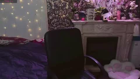 DiBi online show from July 20, 2026, 2:52 pm