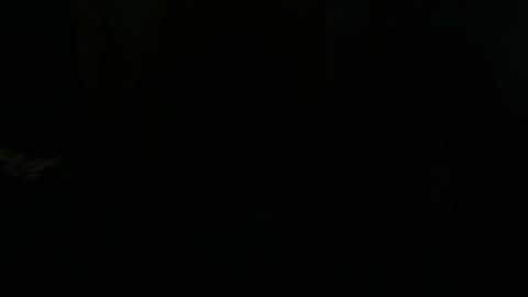 Snapshot of dragon666uwur chatting on January 28, 2025, 7:43 am Dragon online show from January 28, 2025, 7:43 am