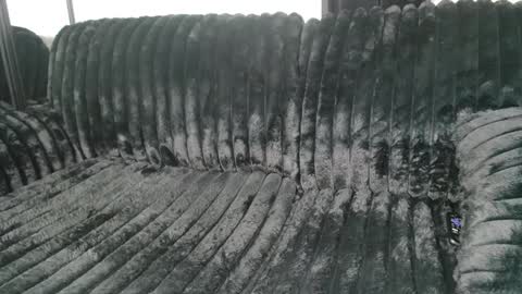 Draya Nicole online show from March 9, 2025, 11:25 am