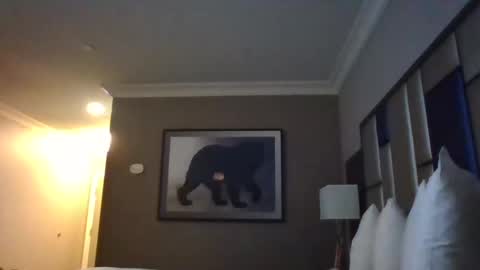 Snapshot of dreadedchefloxxx chatting on March 3, 2025, 6:59 am DreadedChefLoXXX online show from March 3, 2025, 6:59 am