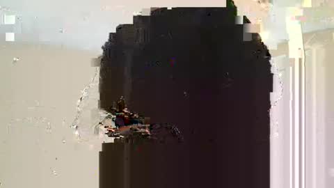 Snapshot of dreadstarr chatting on March 10, 2025, 11:10 am Dread online show from March 10, 2025, 11:10 am