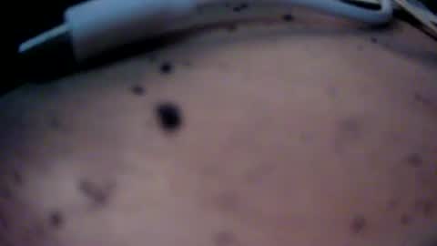 Snapshot of dreamy2020 chatting on January 22, 2025, 4:12 pm dreamy2020 online show from January 22, 2025, 4:12 pm