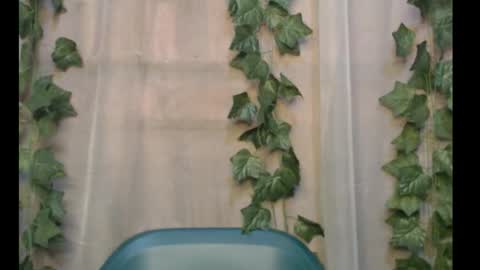 linda online show from September 28, 2025, 11:04 am