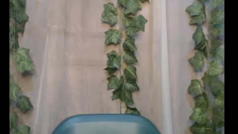 linda online show from September 30, 2025, 12:26 am