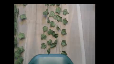 linda online show from October 8, 2025, 11:57 pm