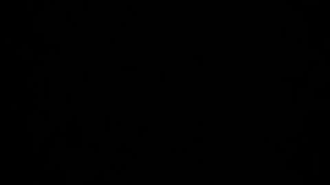 Dreamie online show from December 5, 2024, 4:53 am