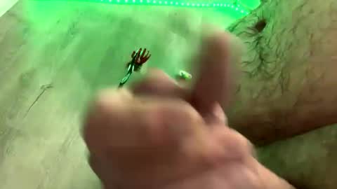 Snapshot of droppingloads82 chatting on January 1, 2025, 5:43 am droppingloads82 online show from January 1, 2025, 5:43 am