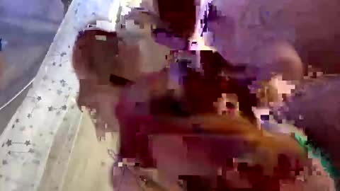 Snapshot of droppingloads82 chatting on February 1, 2025, 7:15 am droppingloads82 online show from February 1, 2025, 7:15 am