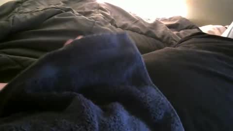 dryfly3782 online show from February 4, 2025, 4:59 am