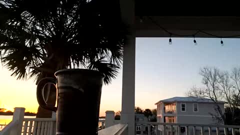 duke_lordly online show from March 11, 2025, 11:26 pm