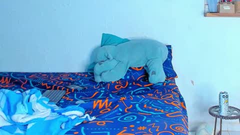 Snapshot of dylan_jake1 chatting on February 20, 2026, 6:26 am Dylan online show from February 20, 2026, 6:26 am