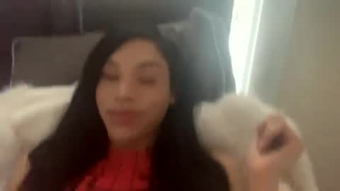 Snapshot of dynasty313 chatting on February 4, 2025, 9:10 pm Dynasty online show from February 4, 2025, 9:10 pm