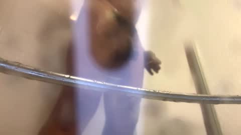 easternjerk online show from October 20, 2025, 12:00 am