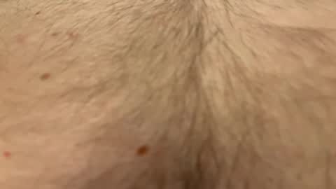 French Guy online show from April 1, 2026, 10:40 pm