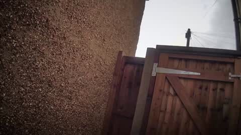 Nadia Ferreira  online show from February 6, 2026, 11:24 am