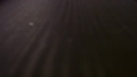 ebiminajj online show from April 26, 2026, 4:48 pm