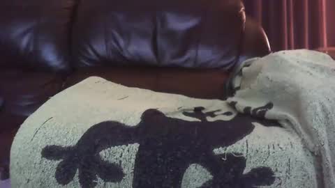 Snapshot of ectopicstarfish chatting on December 13, 2024, 8:41 am Ectopicstarfish online show from December 13, 2024, 8:41 am