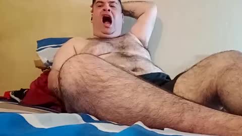 Snapshot of el131140 chatting on December 17, 2024, 4:45 am Sebastin online show from December 17, 2024, 4:45 am