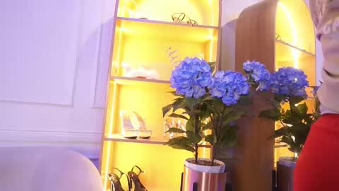 Elasummeer online show from November 4, 2025, 12:04 pm