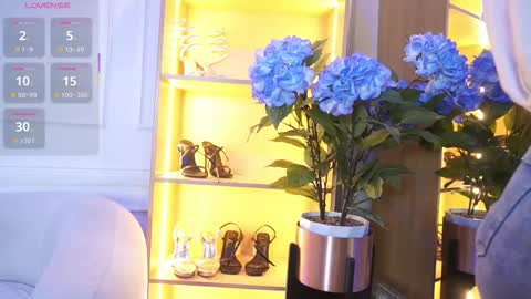 Elasummeer online show from November 17, 2025, 12:00 pm