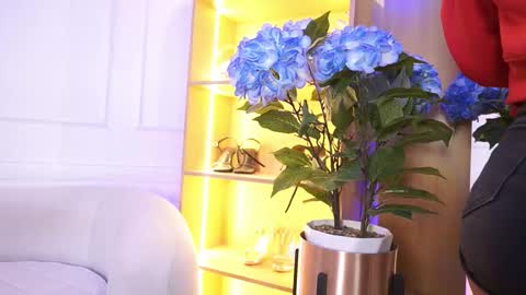 Elasummeer online show from January 14, 2026, 12:00 pm