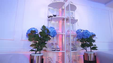 Elasummeer online show from February 13, 2026, 11:50 am