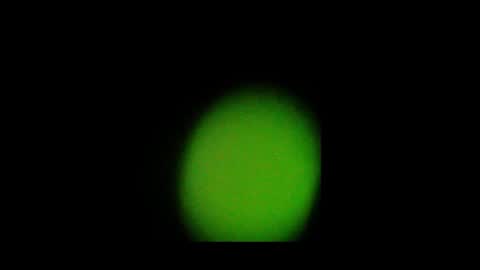 Snapshot of eldonan chatting on October 24, 2025, 2:02 pm Nando online show from October 24, 2025, 2:02 pm