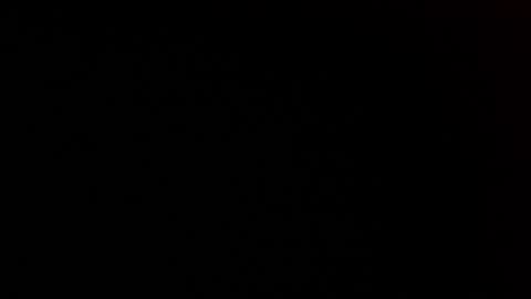 elessar_telcontar online show from January 27, 2025, 5:37 pm