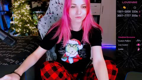 Snapshot of elfos_dream chatting on December 26, 2024, 3:49 am Mary online show from December 26, 2024, 3:49 am