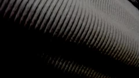 Elly online show from April 27, 2026, 11:30 am