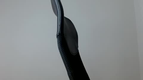 elosocazador online show from January 16, 2026, 12:31 pm