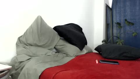 elputoquetegusta online show from February 8, 2025, 10:29 pm